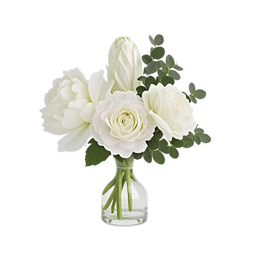 Ivory Blossom Radiance