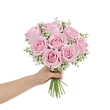 Pink Pastel Roses