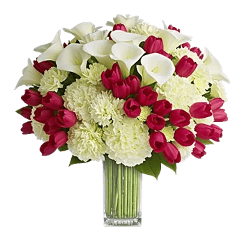 Elegant Calla Lilies