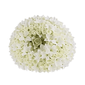 Graceful Lily Display