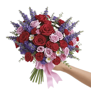 Blushing Rose Symphony