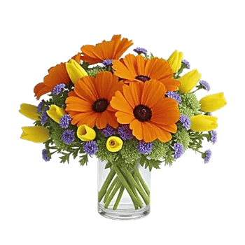 Petal Radiance Bliss