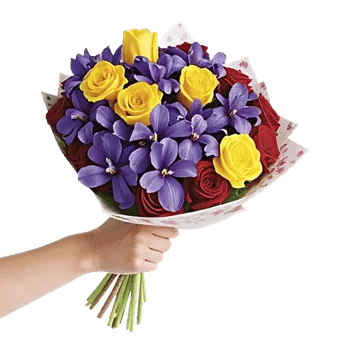 Blossom Harmony Display