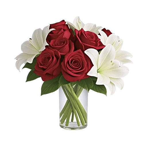 Crimson Rose Elegance