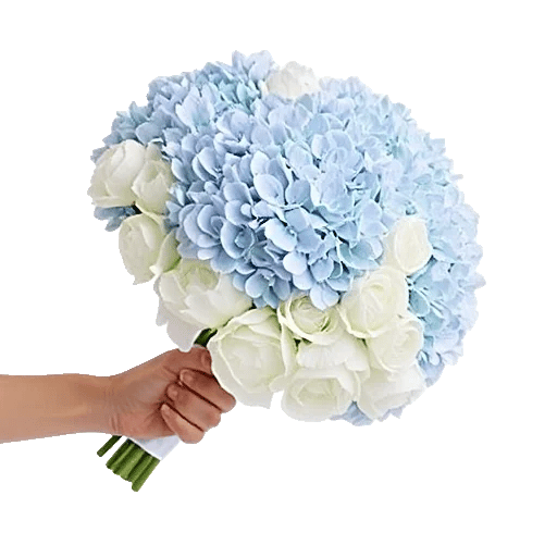 Delicate Petal Cascade