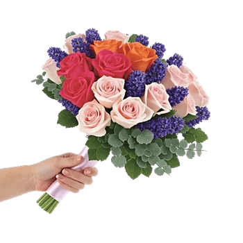 Pastel Pink Roses