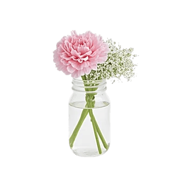 Pink Pastel Roses