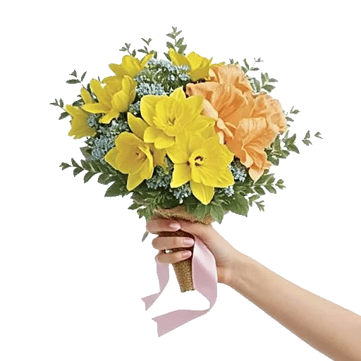 Blossom Harmony Display