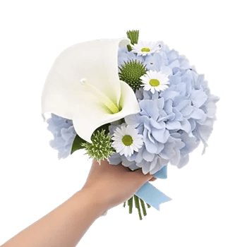 Elegant Calla Lilies