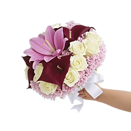 Elegant Calla Lilies