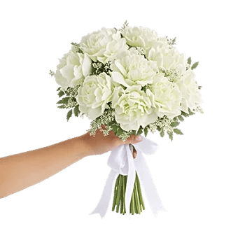 Ivory Garden Grace