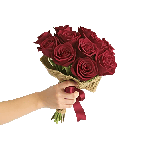 Crimson Rose Elegance