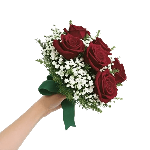 Crimson Rose Elegance