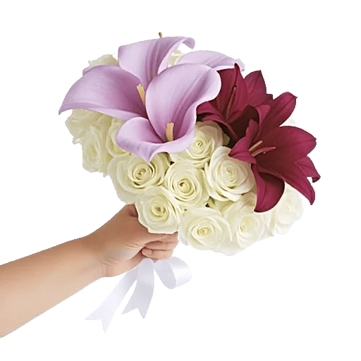 Elegant Calla Lilies