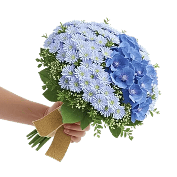 Sapphire Bloom Whisper