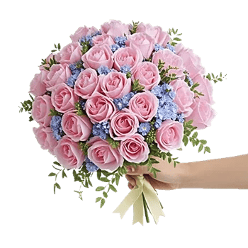 Peony Petal Harmony