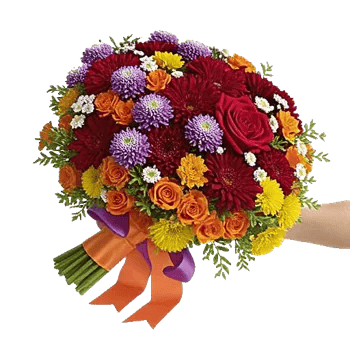 Petal Harmony Bliss