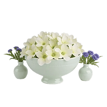 Ivory Blossom Radiance