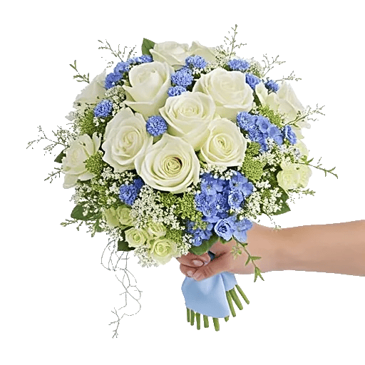 Serene Petal Harmony