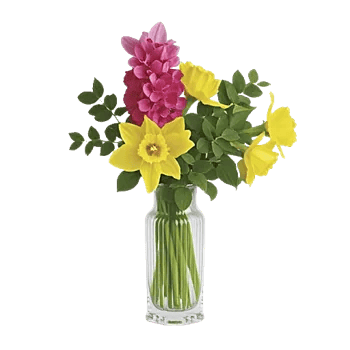 Petal Radiance Bliss