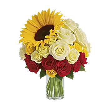 Radiant Bloom Cascade