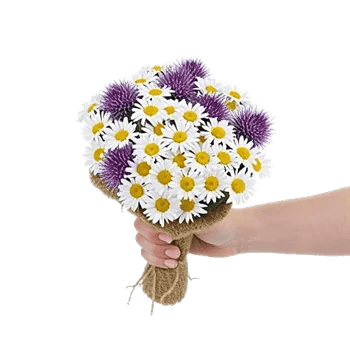 Daisy Meadow Spread