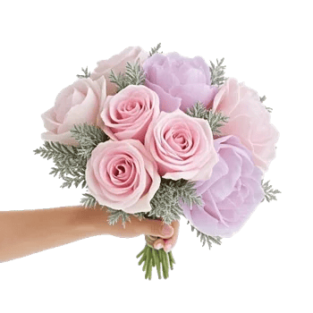 Pastel Pink Roses