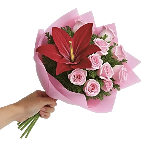 Crimson Rose Elegance