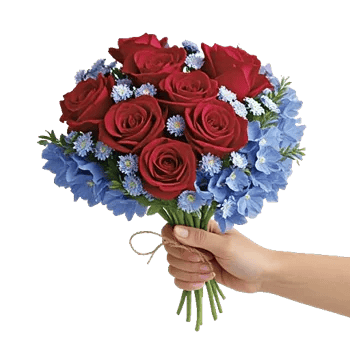 Crimson Rose Elegance