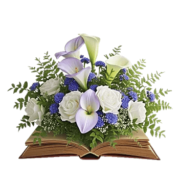 Elegant Calla Lilies