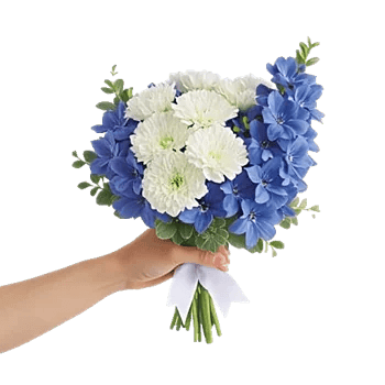 Blossom Petal Serenity