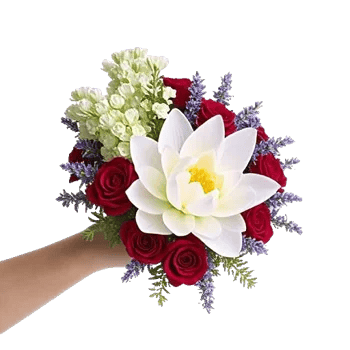 Serenity Orchid Bloom