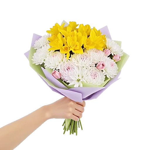 Blossom Harmony Display