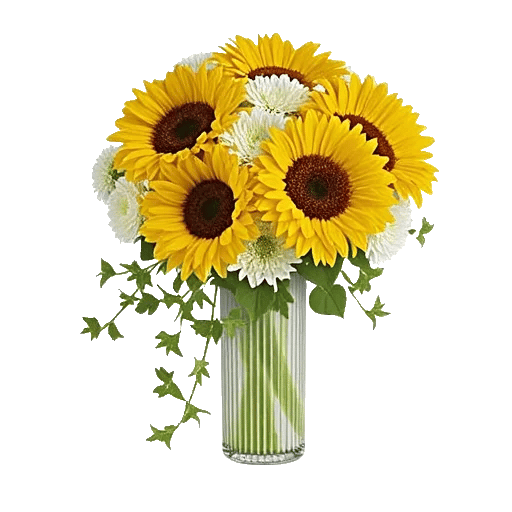 Radiant Bloom Cascade