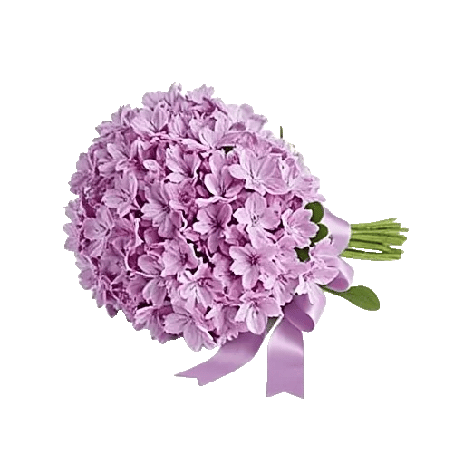 Honeyed Lilac Dream