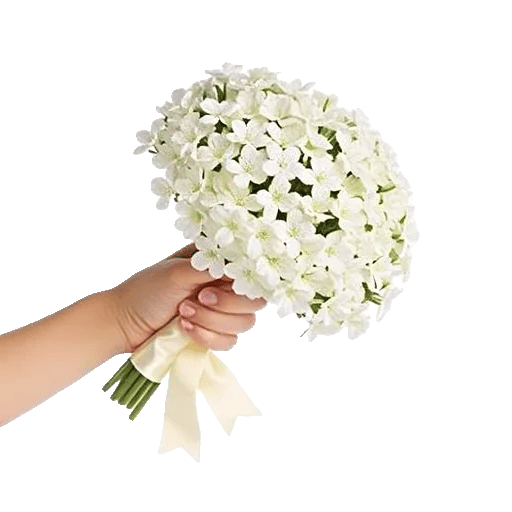 Minimalist White Orchids