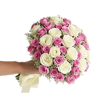 Rosemary Bloom Elegance