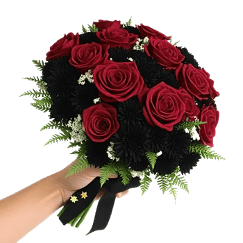 Blushing Rose Symphony