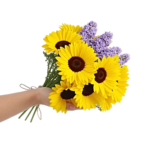 Enchanting Daisy Garden