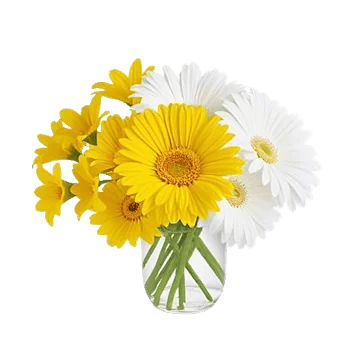 Petal Radiance Bliss