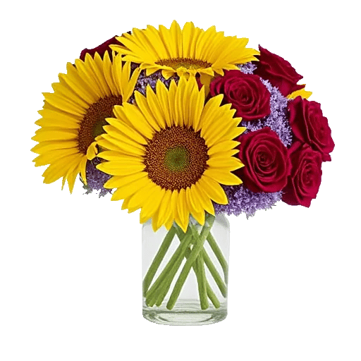 Radiant Bloom Cascade