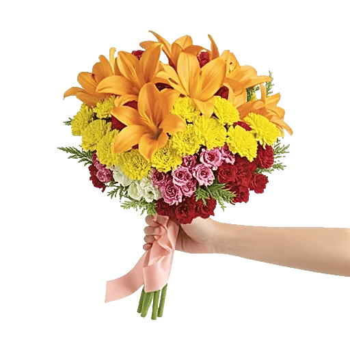 Petal Harmony Bliss