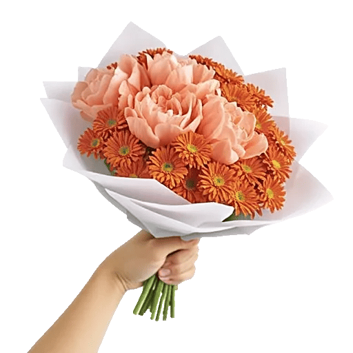 Peony Petal Harmony