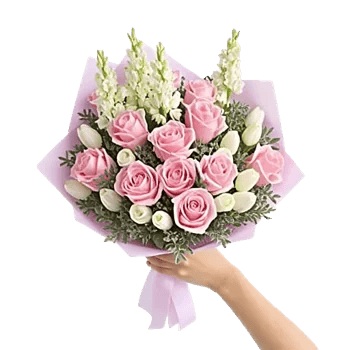 Pastel Pink Roses