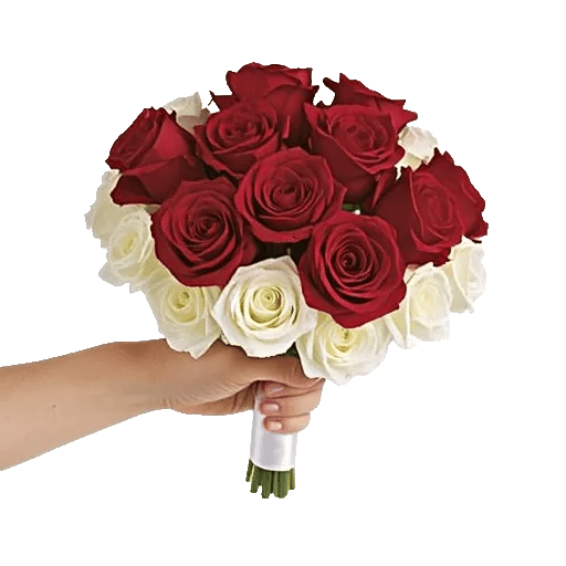 Crimson Rose Elegance