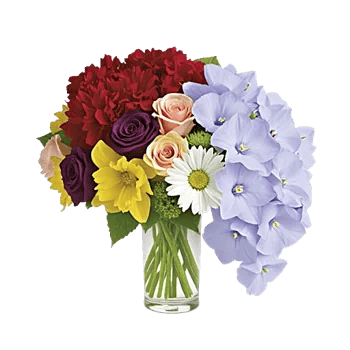 Petal Radiance Bliss