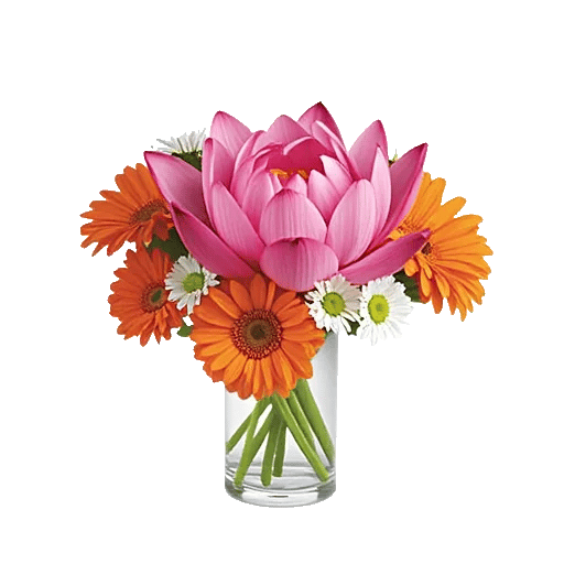 Petal Radiance Bliss