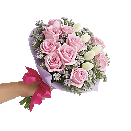 Pastel Pink Roses