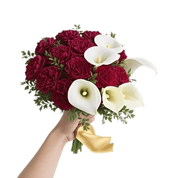 Elegant Calla Lilies