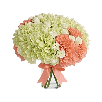 Delicate Petal Cascade